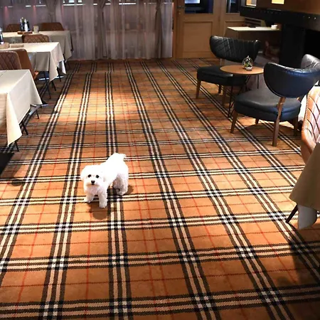 Διαμέρισμα Vucko 211 Τζαχορίνα